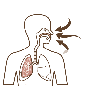 An introduction to legionella and legionnaires’ disease An introduction to legionella and legionnaires’ disease